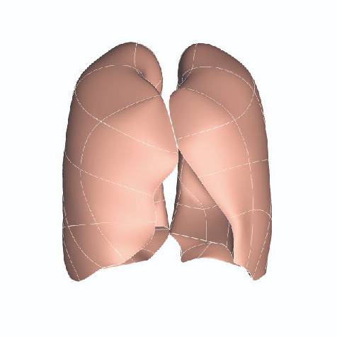 Dataset Banner Image