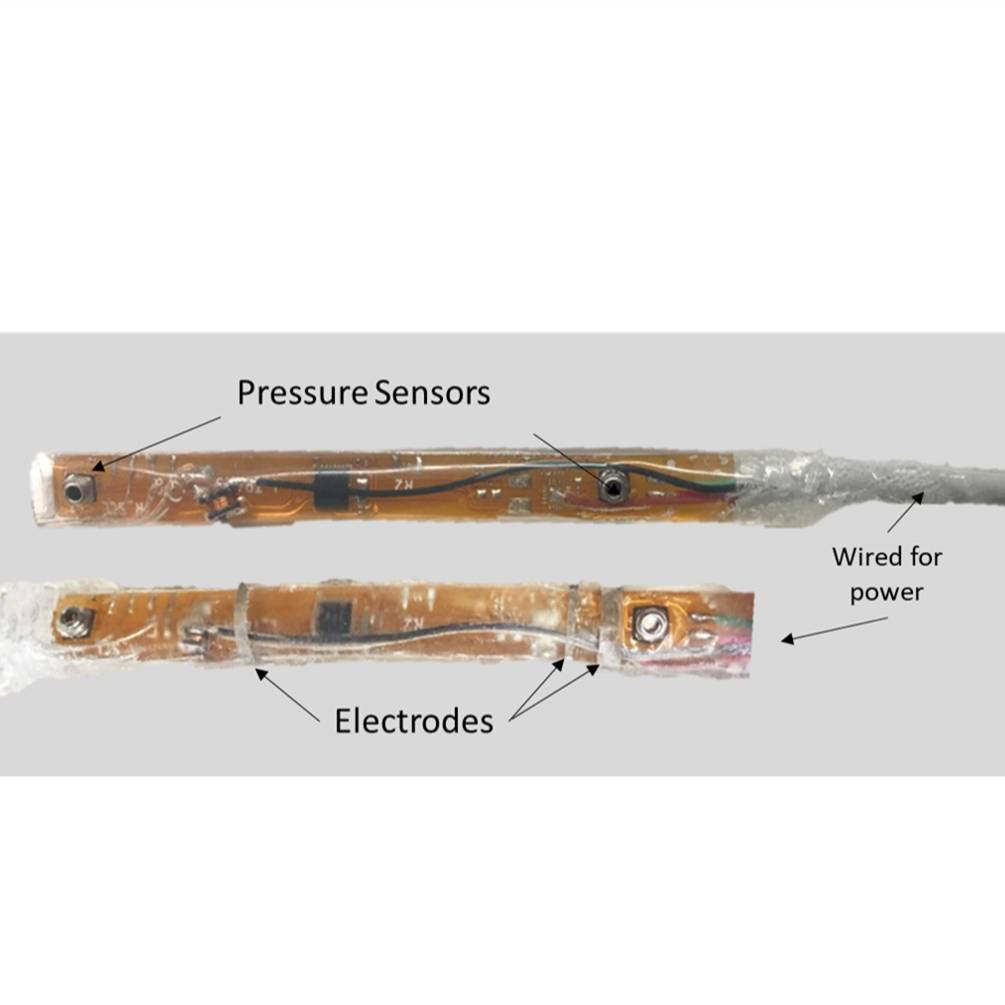 Dataset Banner Image