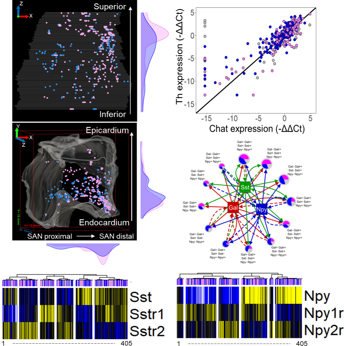 Dataset Banner Image