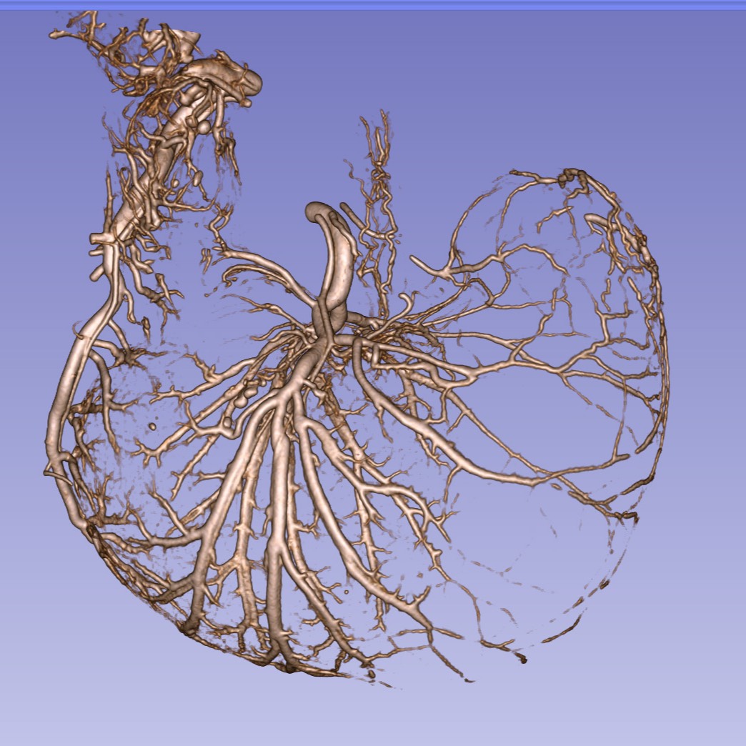 Dataset Banner Image