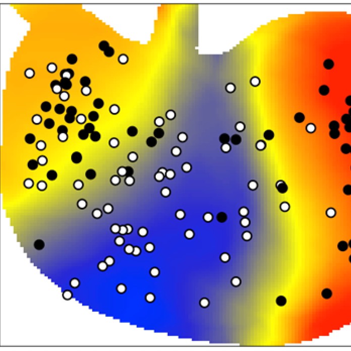 Dataset Banner Image