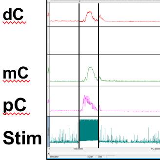 Dataset Banner Image