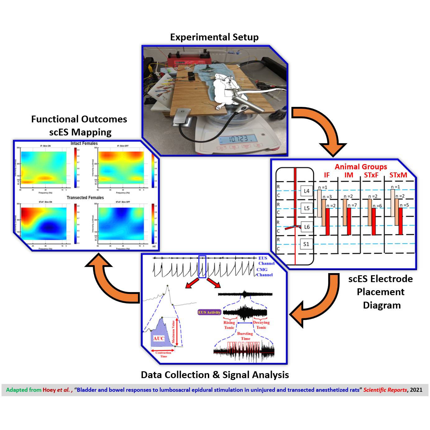 Dataset Banner Image