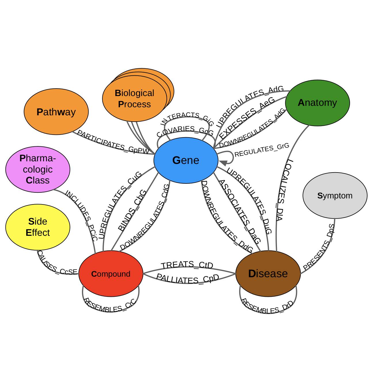 Dataset Banner Image