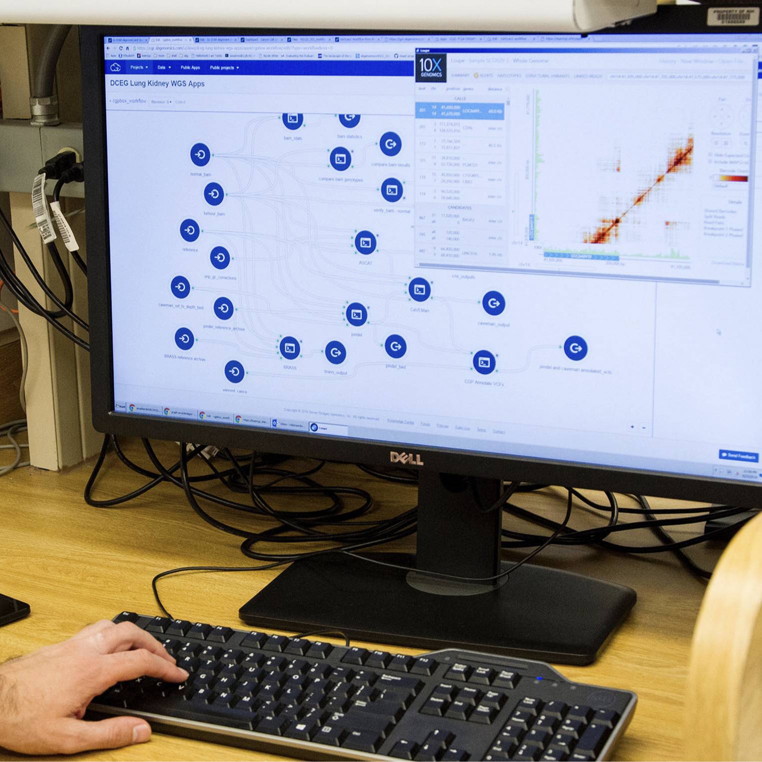 Dataset Banner Image