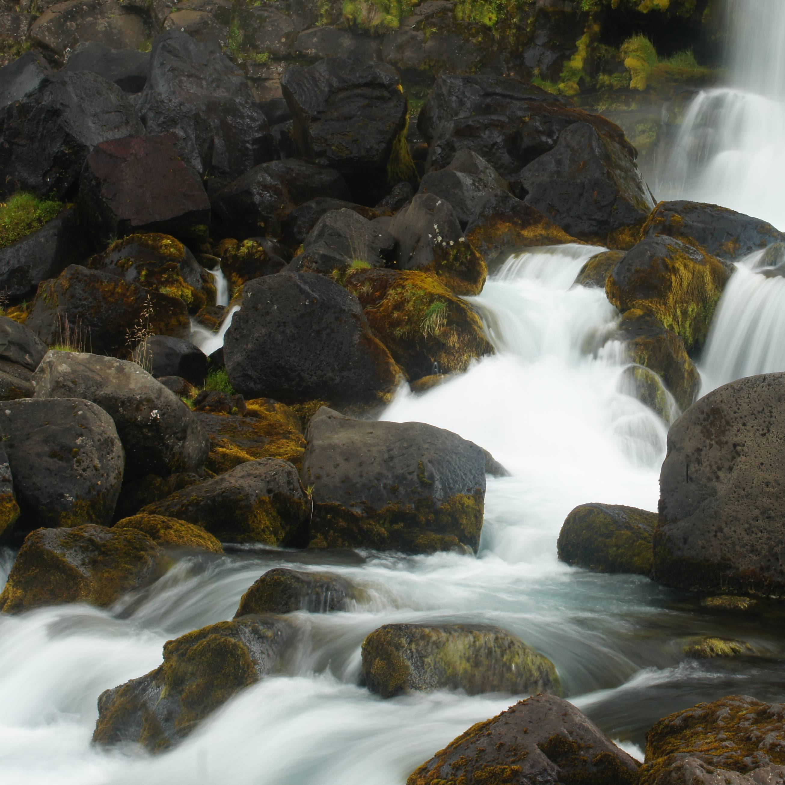 Dataset Banner Image