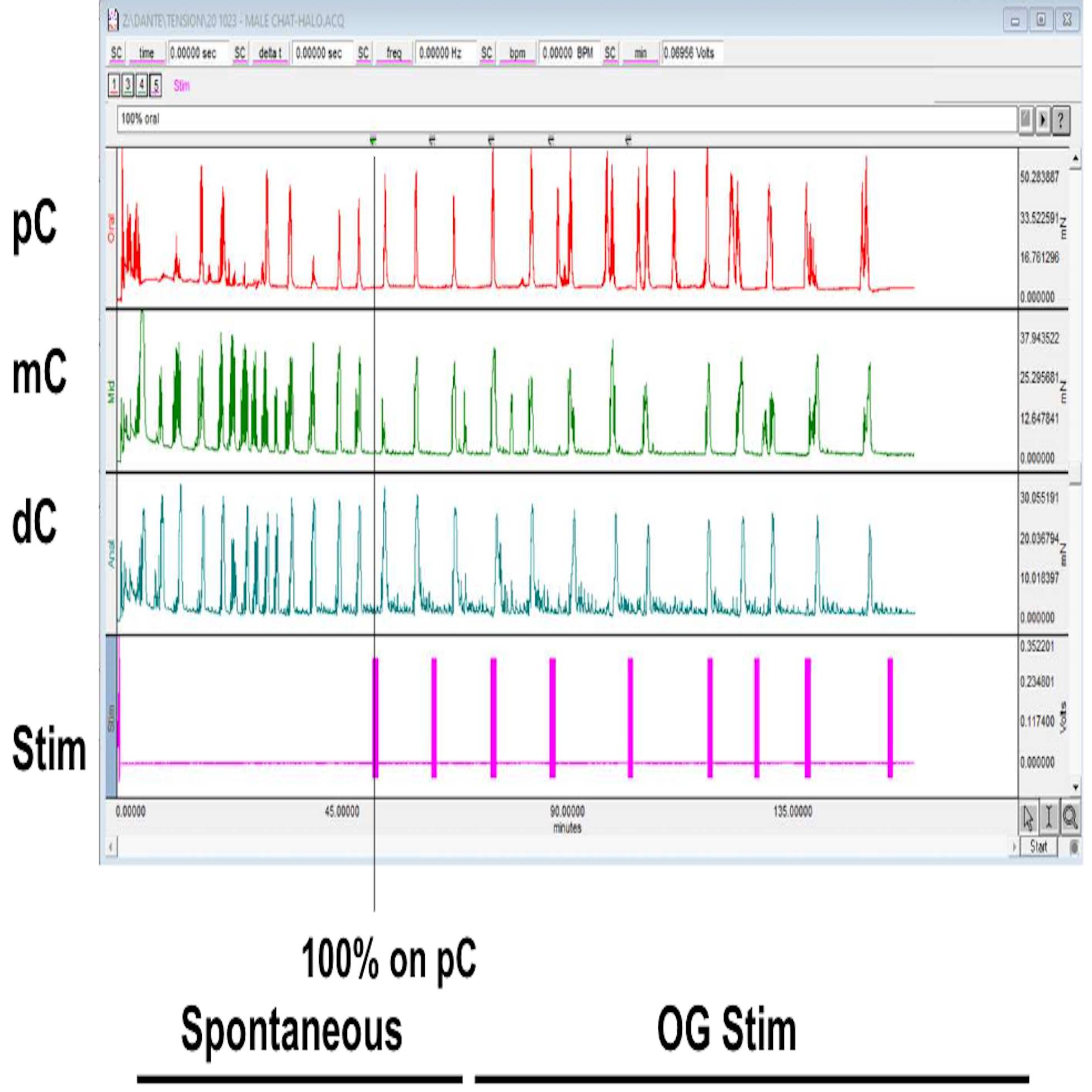 Dataset Banner Image