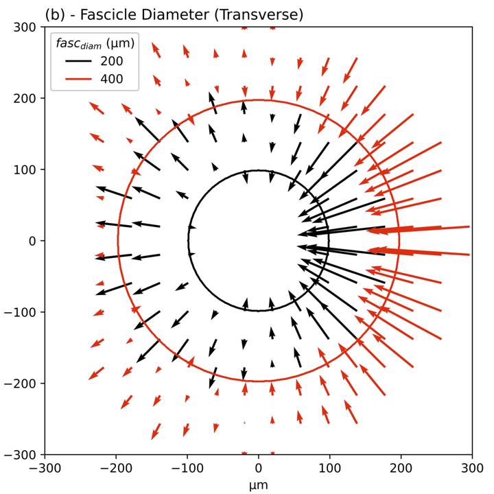 Dataset Banner Image