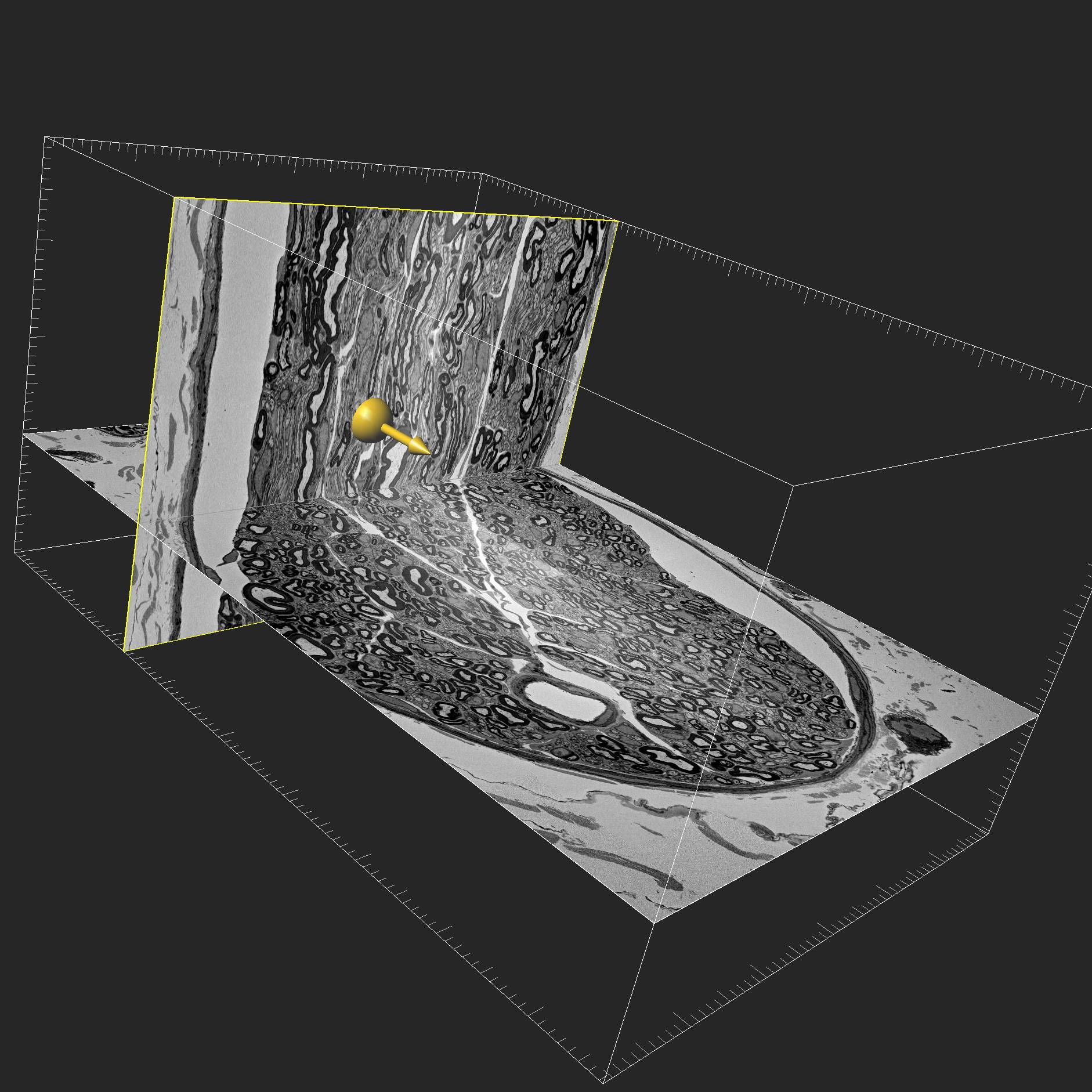 Dataset Banner Image