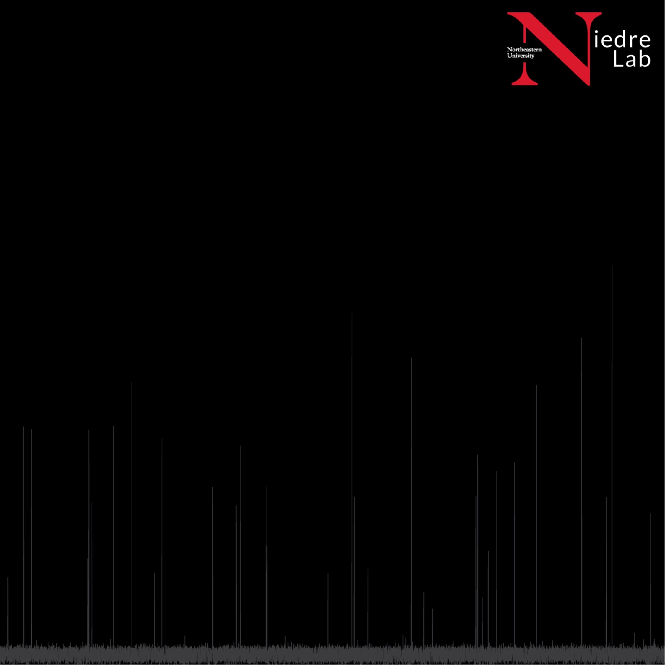 Dataset Banner Image