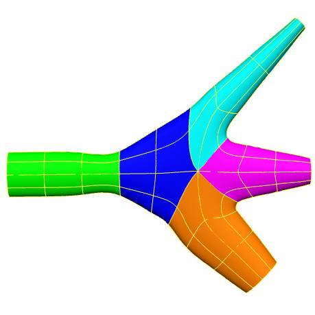 Dataset Banner Image