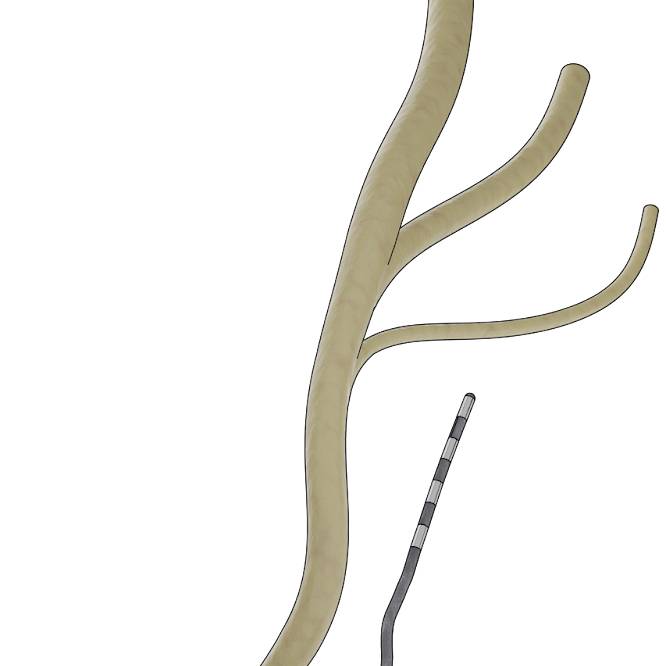 Dataset Banner Image