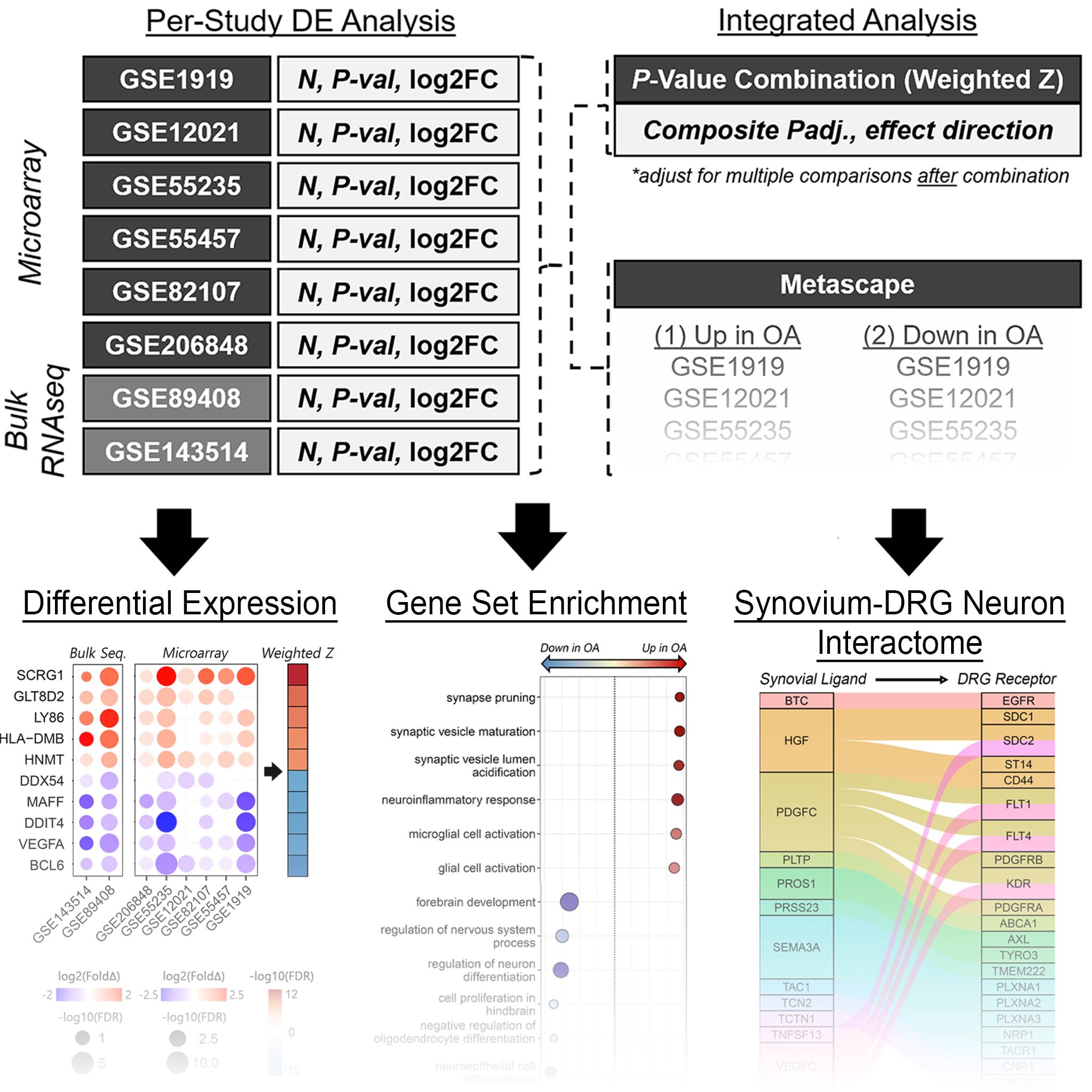 Dataset Banner Image