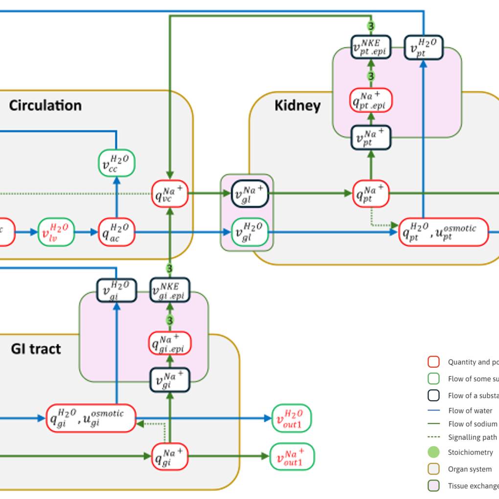 Dataset Banner Image