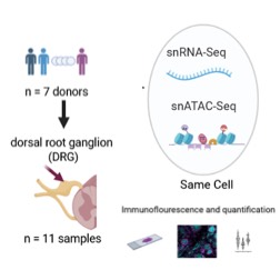 Dataset Banner Image