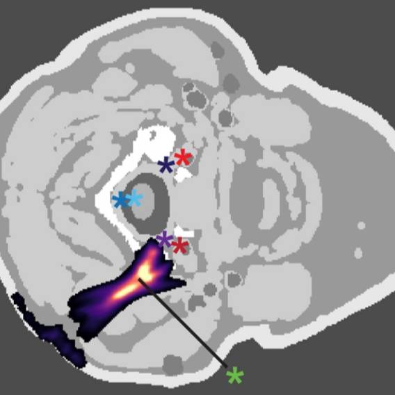 Dataset Banner Image