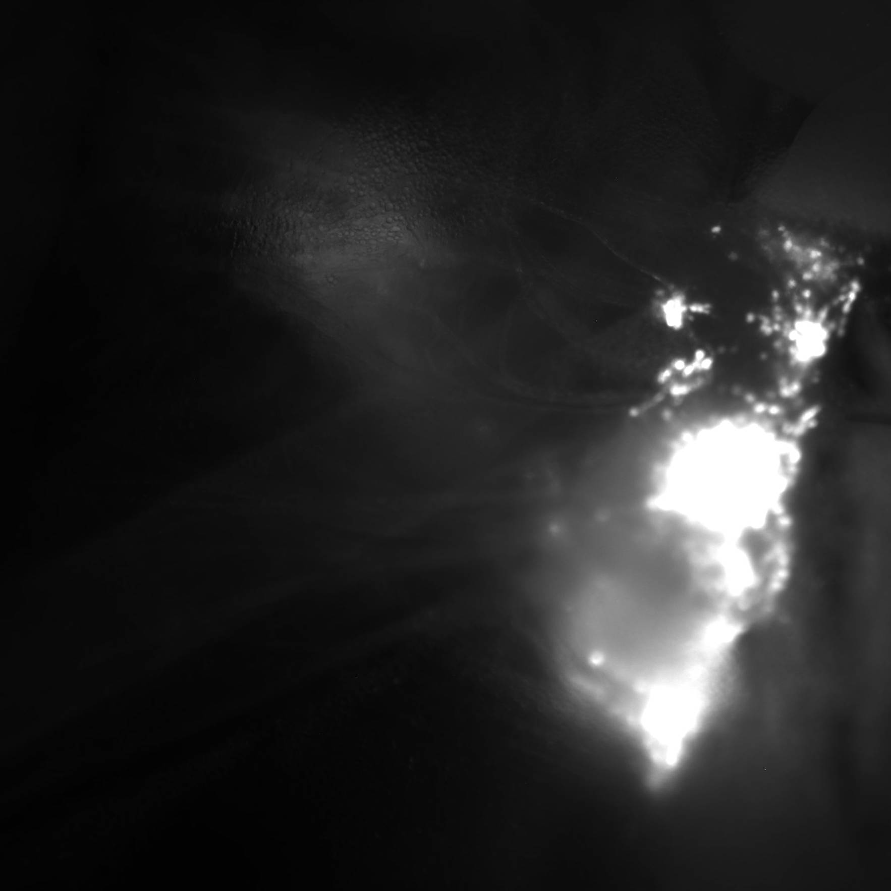 Dataset Banner Image