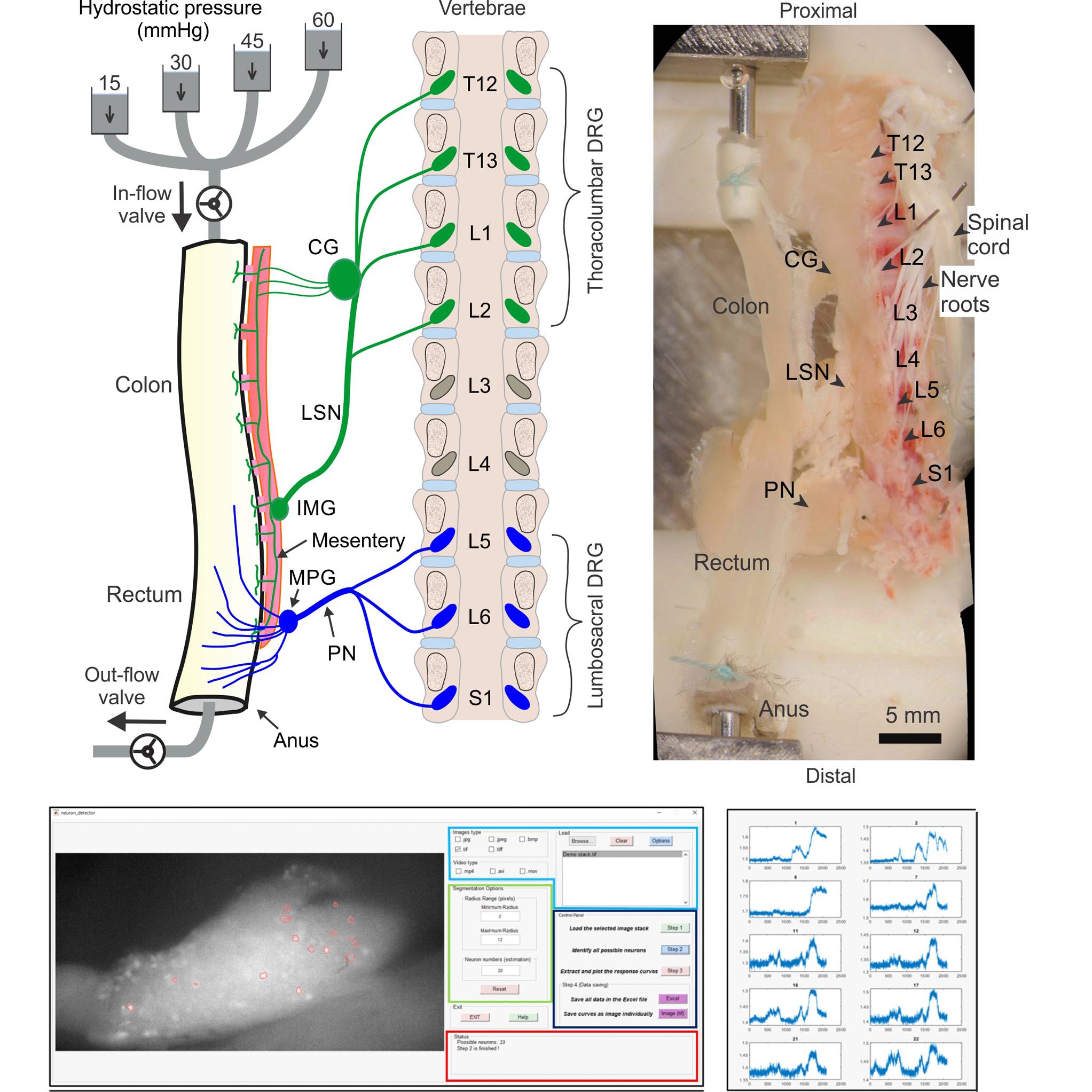 Dataset Banner Image