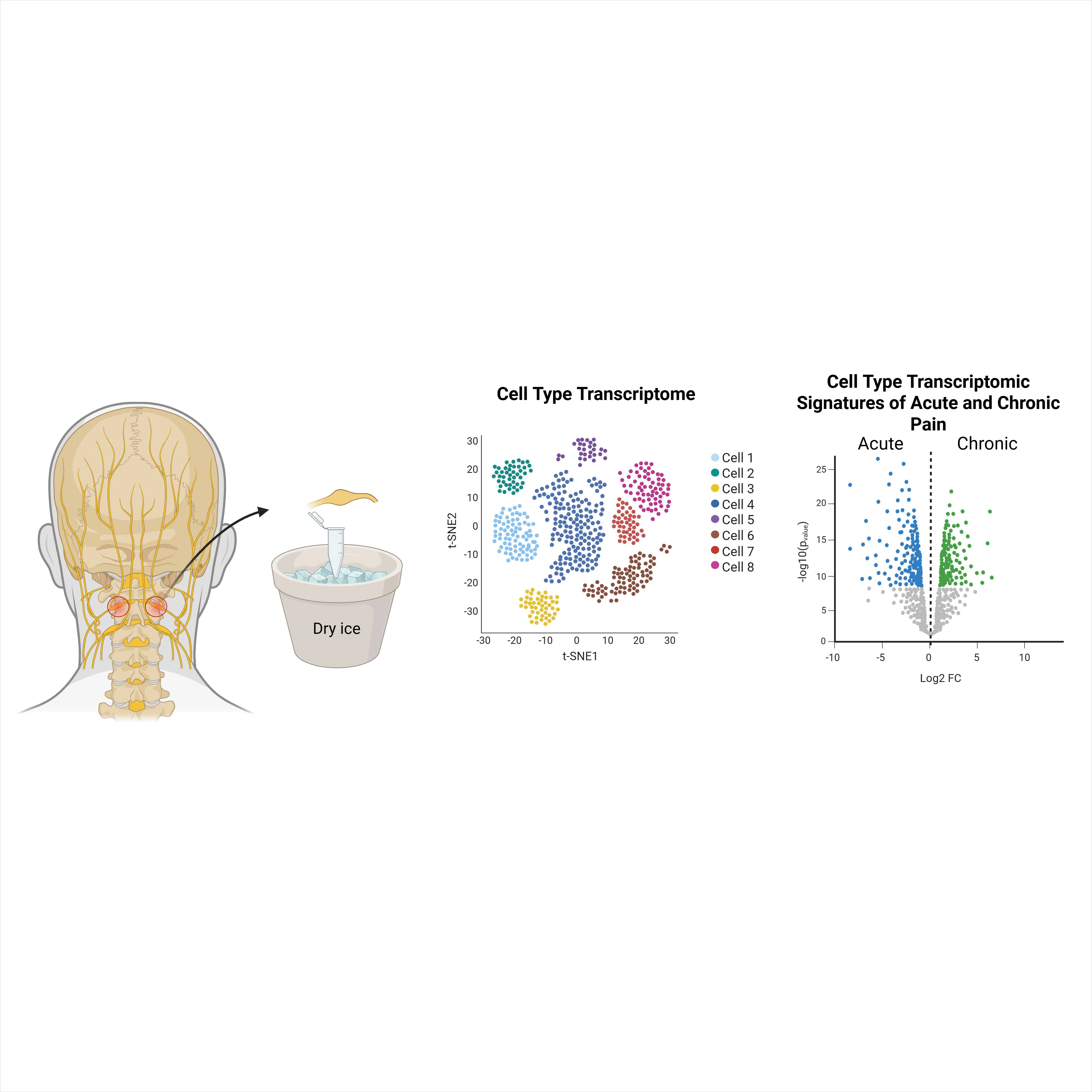 Dataset Banner Image