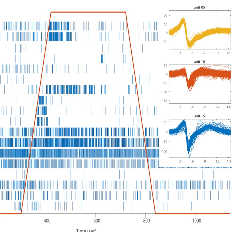 Dataset Banner Image