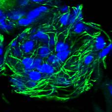 Dataset Banner Image