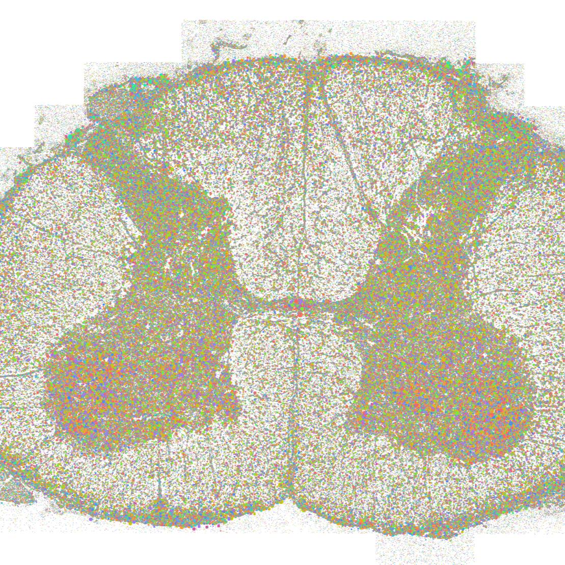 Dataset Banner Image