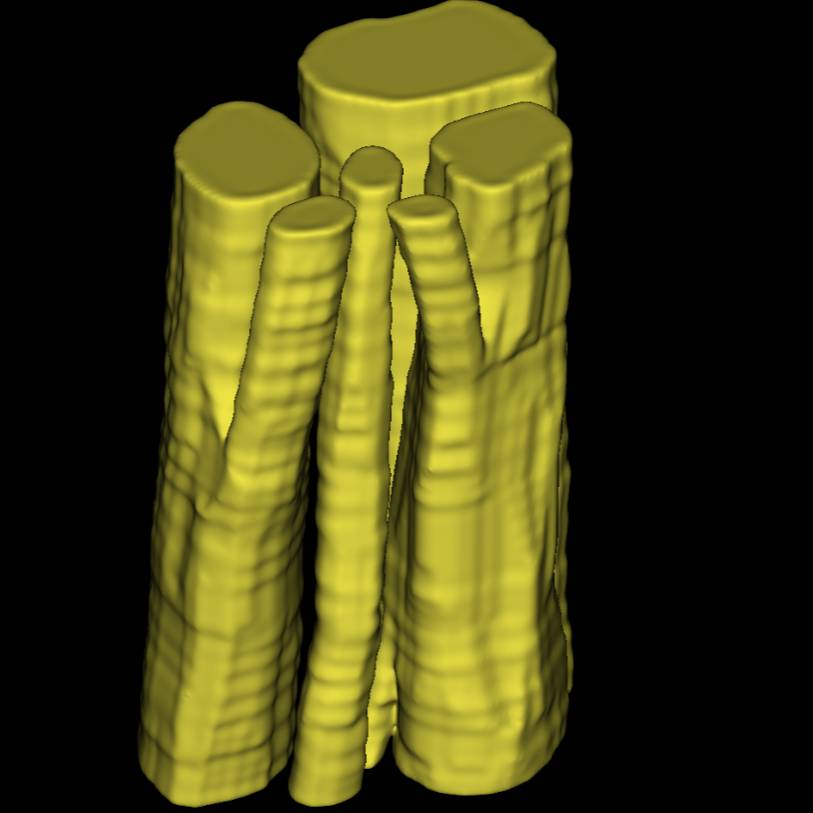 Dataset Banner Image