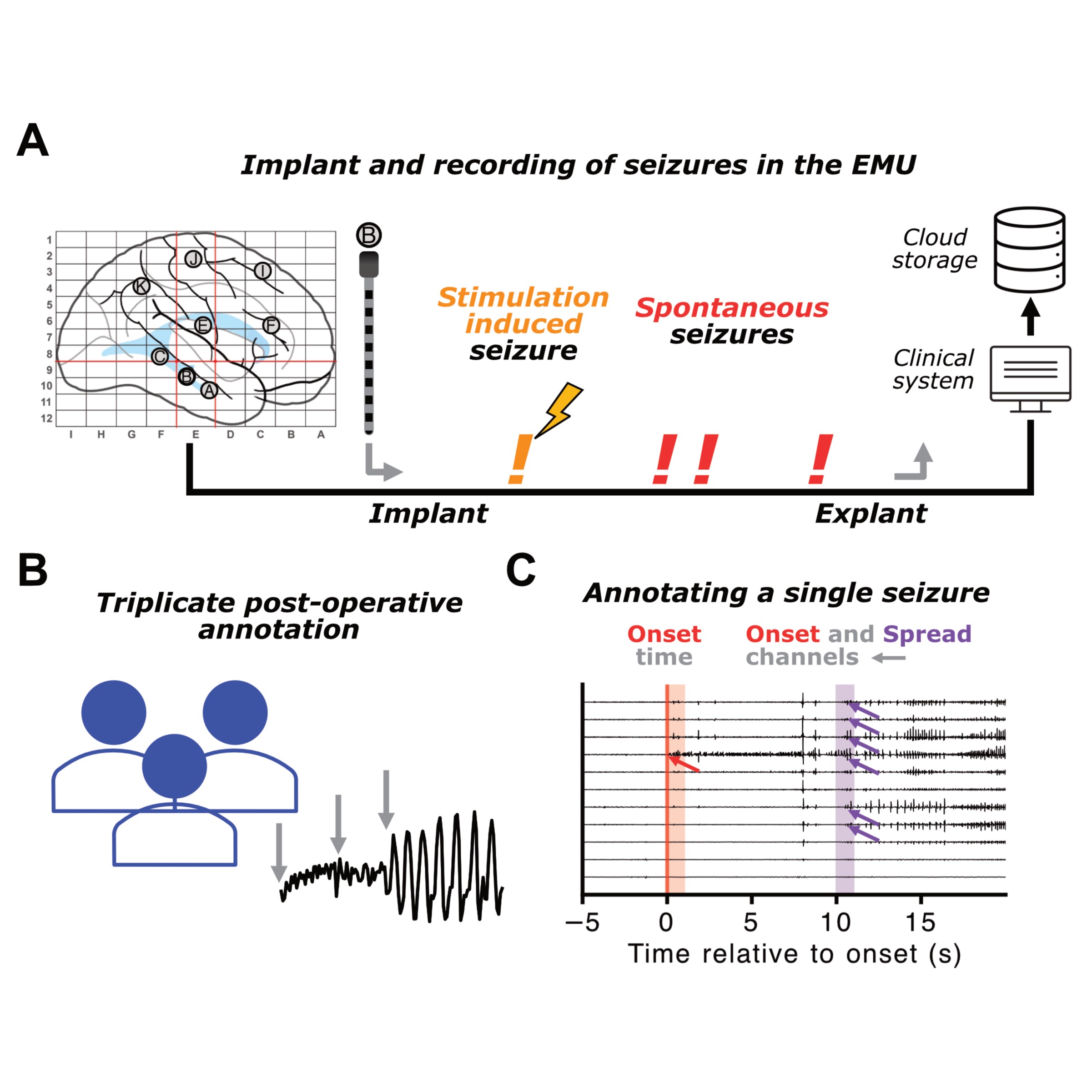 Dataset Banner Image