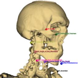 Dataset Banner Image