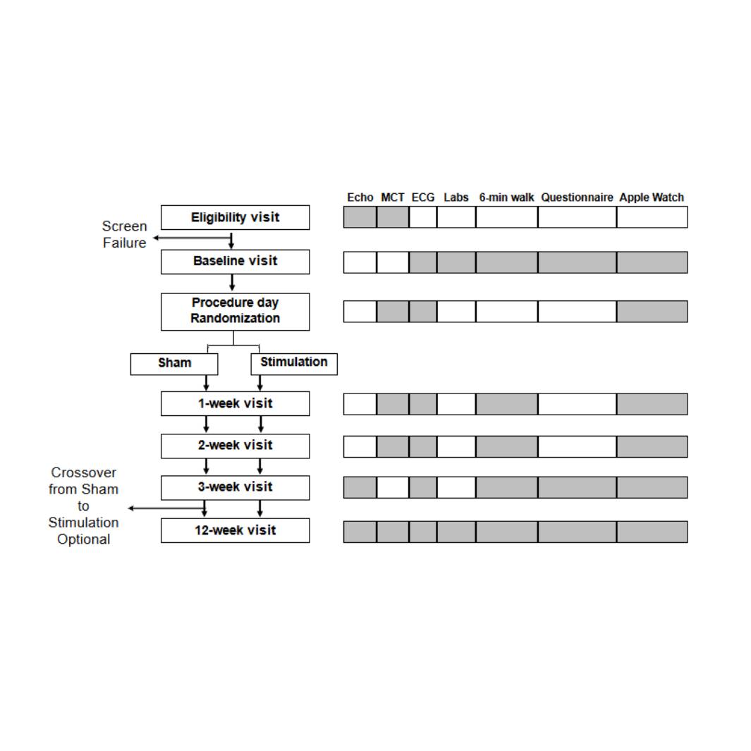 Dataset Banner Image