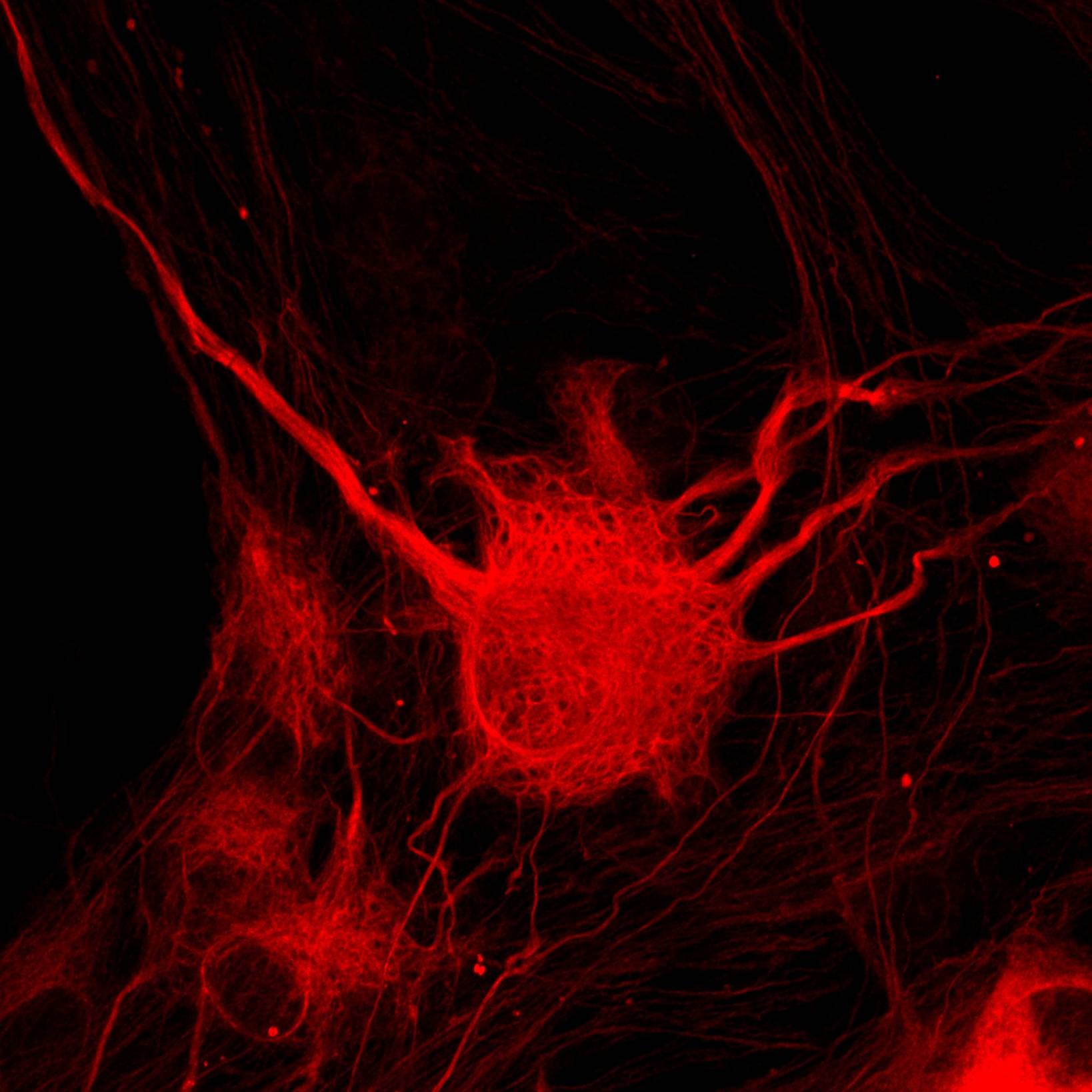 Dataset Banner Image