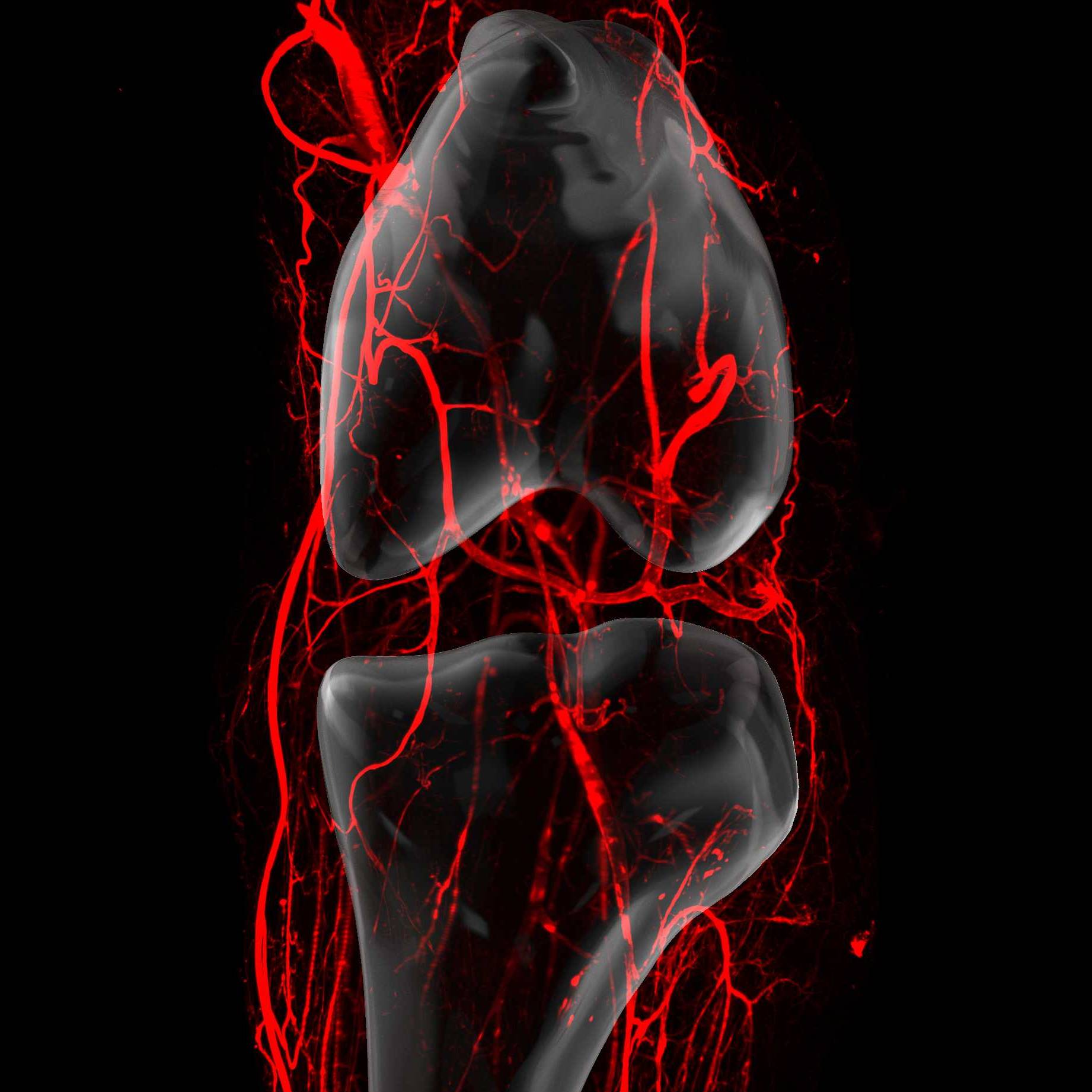 Dataset Banner Image
