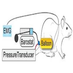 Dataset Banner Image