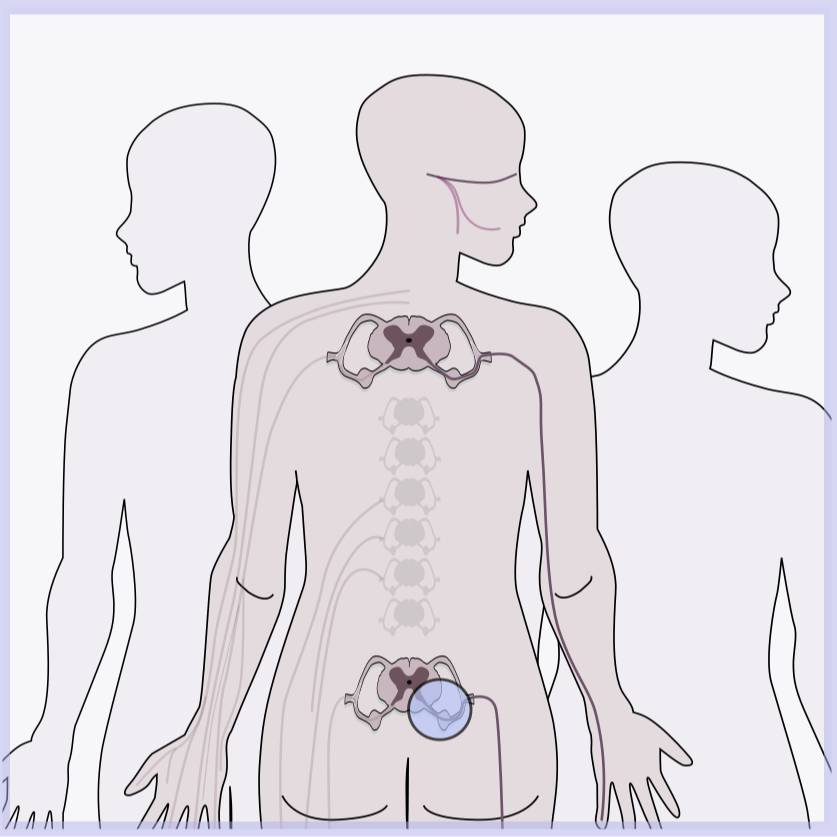 Dataset Banner Image