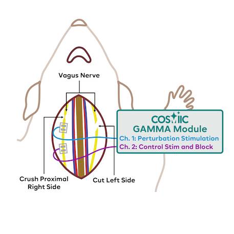 Dataset Banner Image