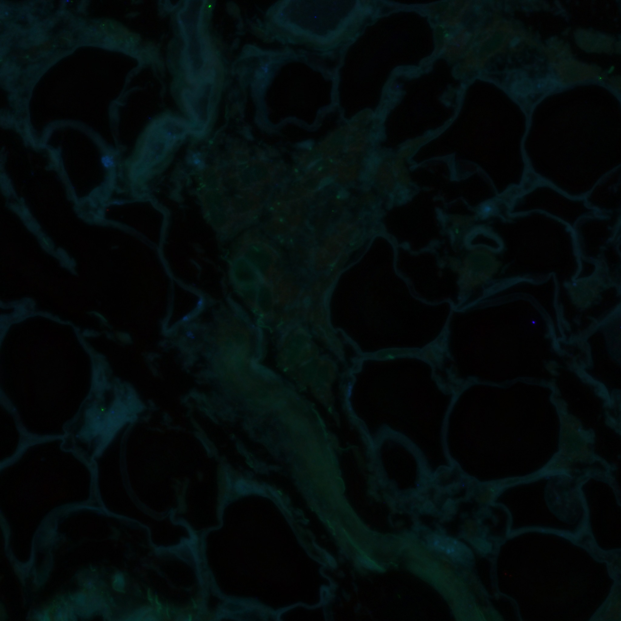 Dataset Banner Image