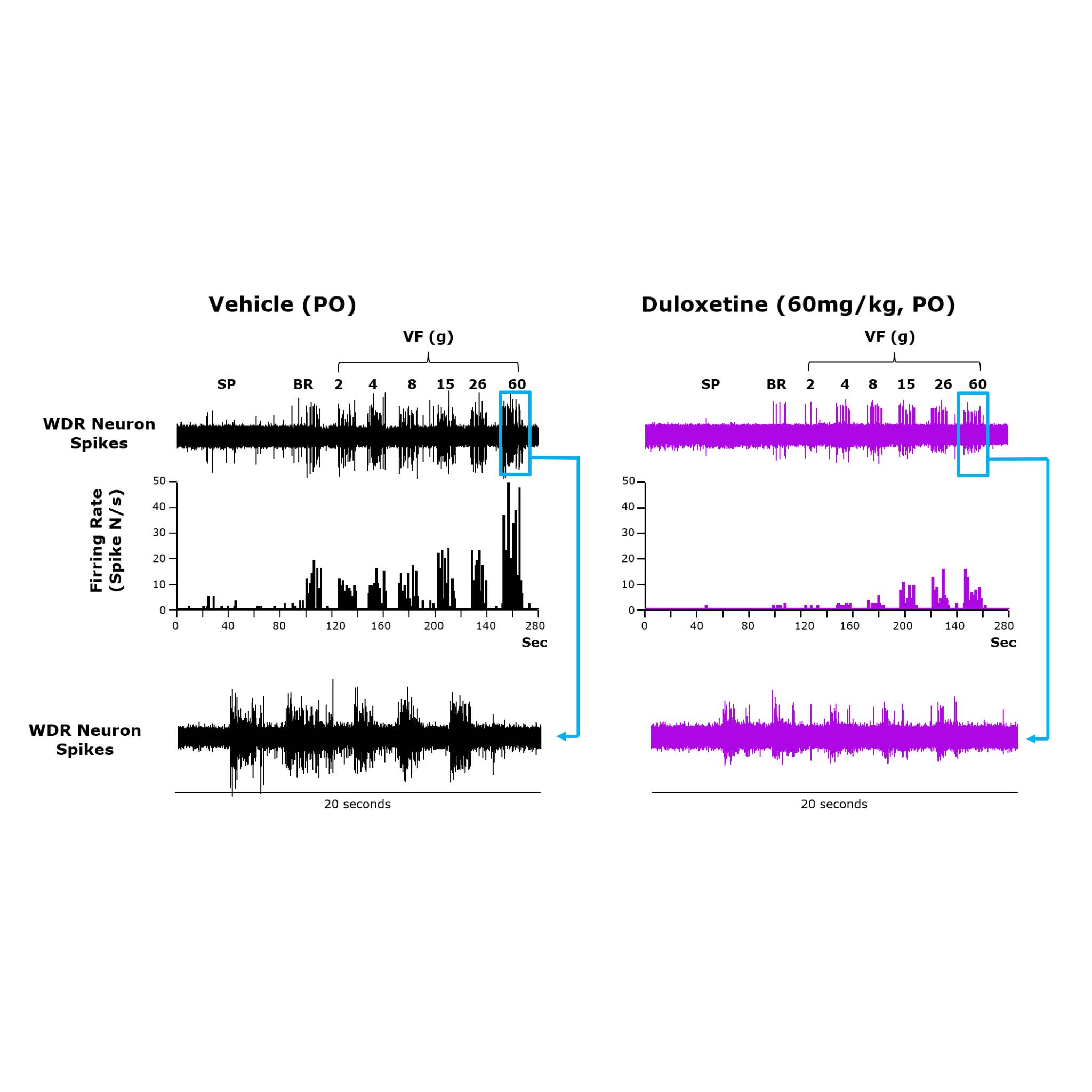 Dataset Banner Image