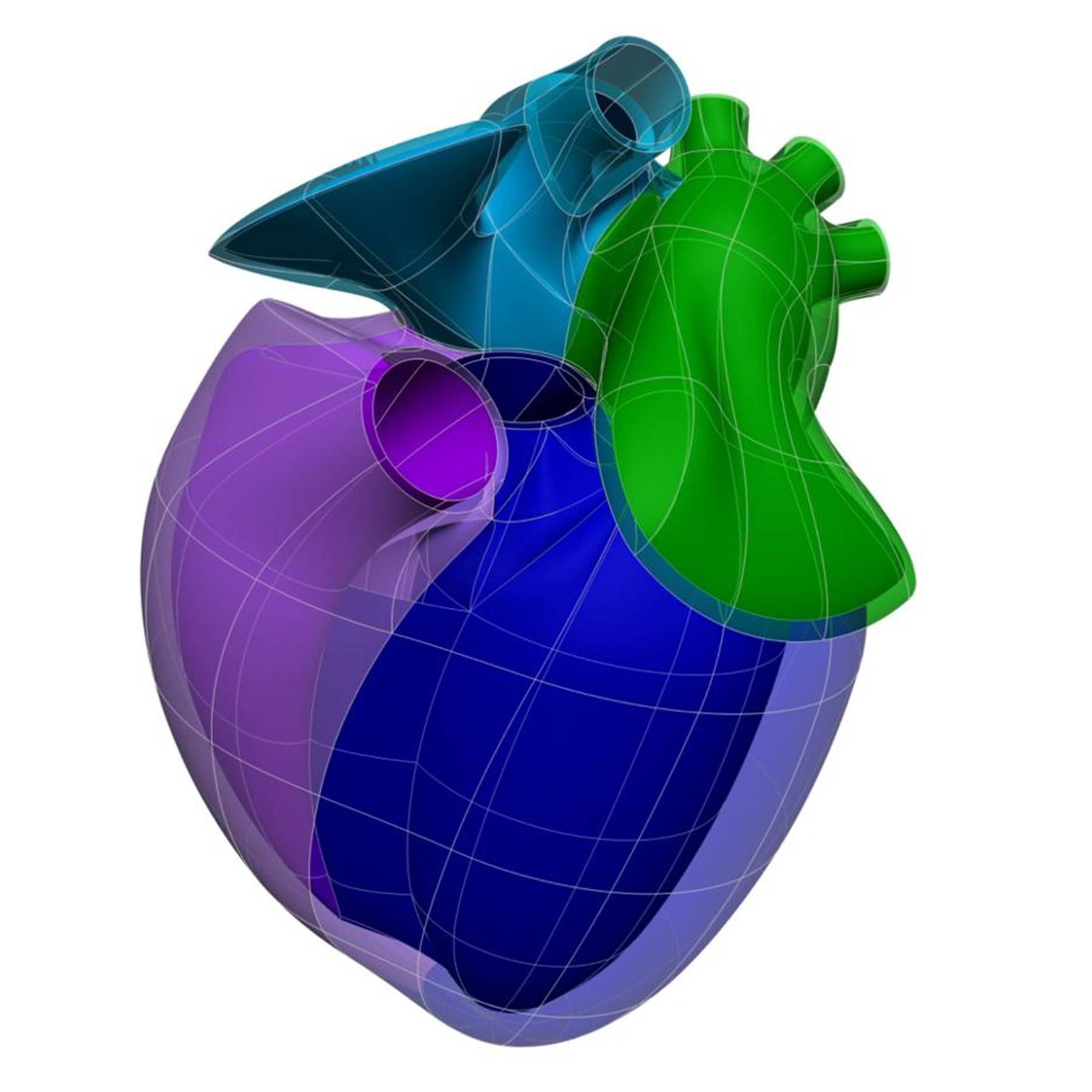 Dataset Banner Image